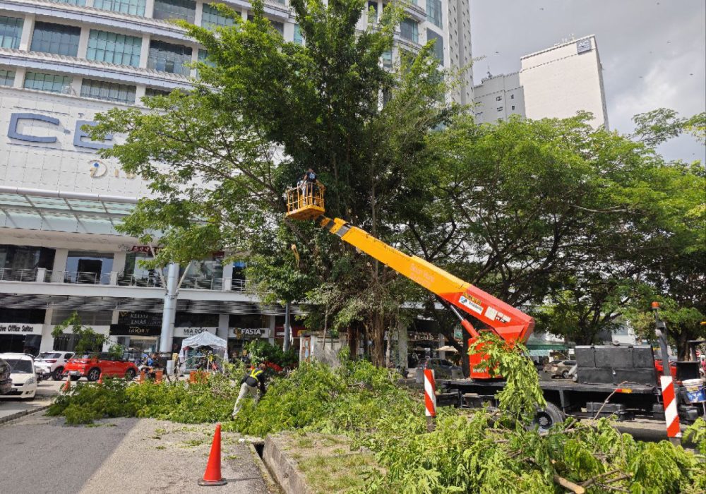 photo_6088923540557073917_y